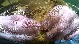 Самый простой и надёжный узел, для привязки крючка к леске.