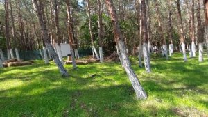 ГЕЛЕНДЖИК! ОТДЫХ ПОД ОТКРЫТЫМ НЕБОМ. ВЫ ДАВНО ПРОСИЛИ ТАКОЕ. КЕМПИНГ ПАПИН ЛАГЕРЬ