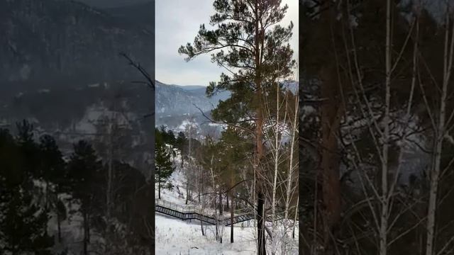 был на самой большой леснеце в России🗻🌍