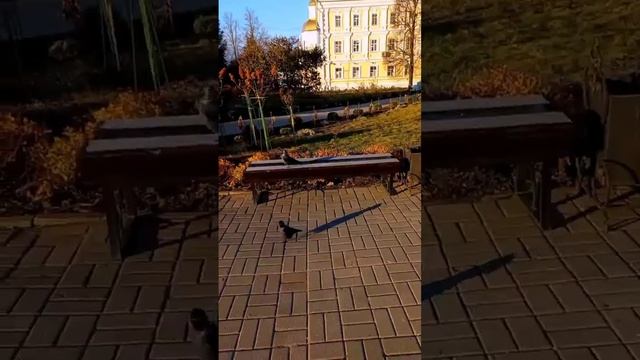 Солнечный день ☀ Серафимо-Дивеевский женский монастырь