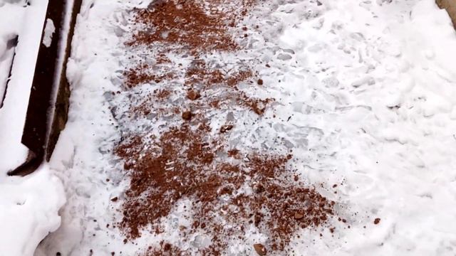 15 декабря 2022 г. смотреть онлайн