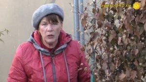 Совет ленивой огородницы: убрать цветник с осени!