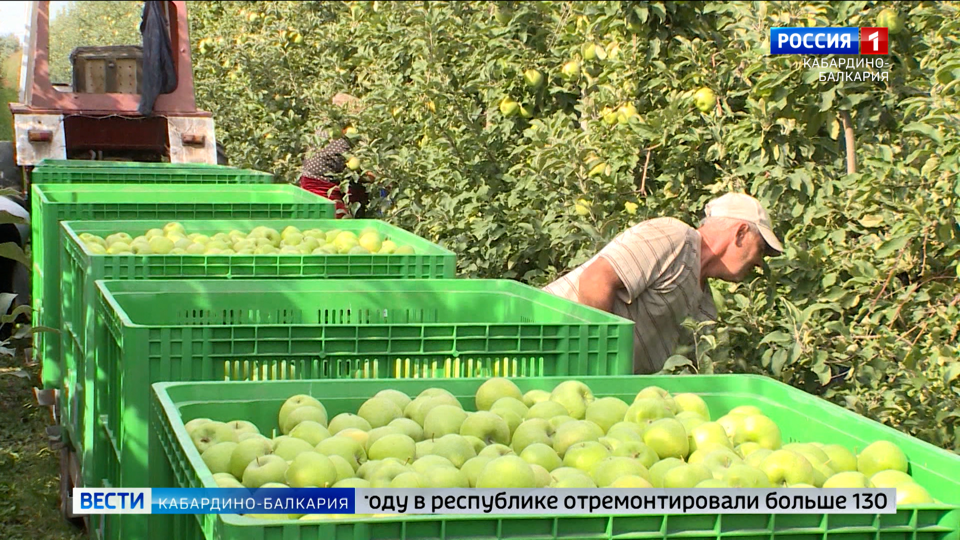 Отечественный агропромышленный комплекс продолжат развивать