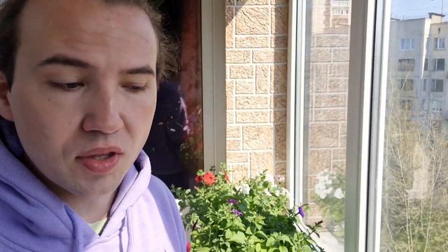 ПЕТУНИЯ 2023 ИЗ СЕМЯН СВОИМИ РУКАМИ | БУДНИ ДАЧНИКА | СЕКРЕТЫ РАССАДЫ ЦВЕТОВ смотреть онлайн