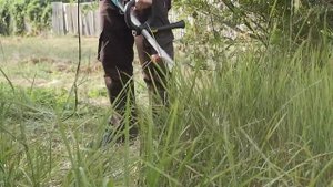 Луговая трава. Леска. Обзор садового электрического триммера Bosch AFS 23-37