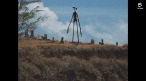 Самой страшной звук!!!SCP 6789 или Siren Head