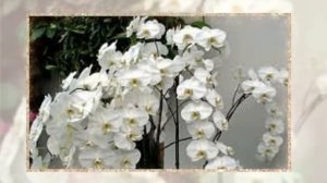 Поздравление с днем рождения 35