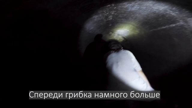 Залез в КАНАЛИЗАЦИЮ !!! КОГО Я ТАМ НАШЁЛ? #заброшка