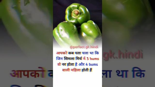 शिमला 🍈मिर्च लड़का ya लड़की #short🔥fact