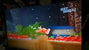 пятница! новогоднее заставки (2022-2023)