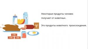 Распорядок дня школьника. Правильный режим дня.