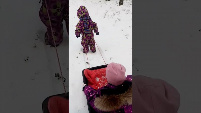 ❄️"Прокати-ка, Ванюша, на саночках!" Трёхлетка впрягся