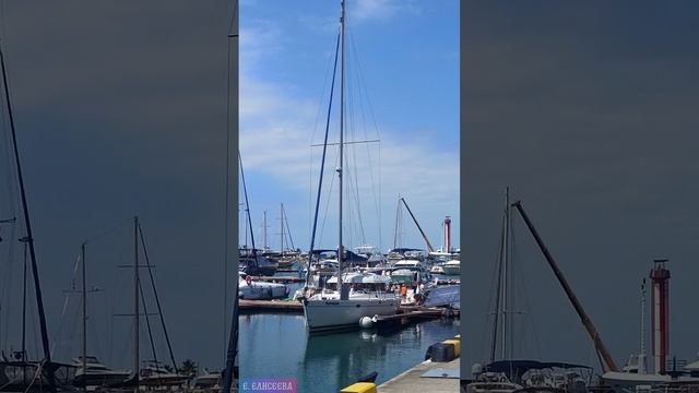 Сочи. Море. Яхты. Кайф. #shorts