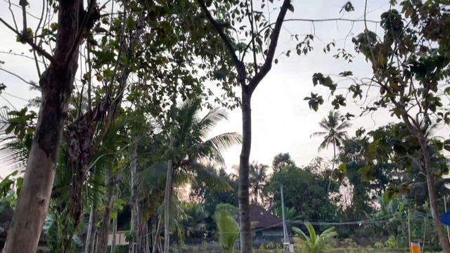 BUENAS y MALAS NOTICIAS 🥲 смотреть онлайн