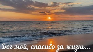 Бог мой, спасибо за жизнь#благодарность#христианские песни