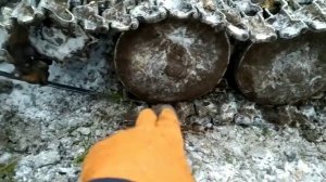 Заколебала ходовая на ТДТ 55,разулись.