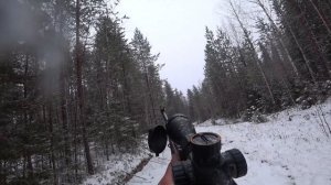 20 км по тайге в поисках боровой дичи. Охота с мелкашкой, тоз-78м 22lr.