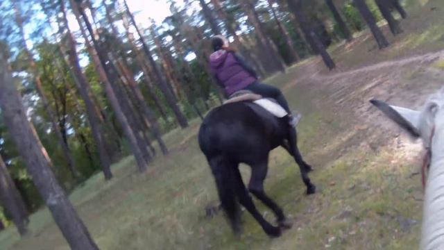 Лошадкин Дом Кременная смотреть онлайн