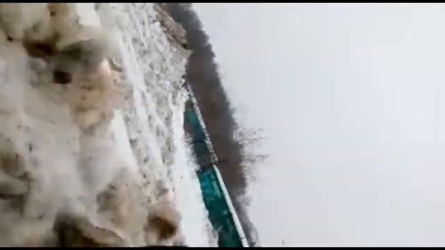 Движение Савеловского Направления