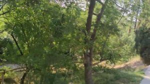 Как обещала сняла адрес Анны Васильевка-Ялта