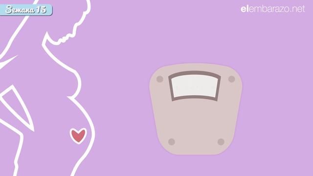 Semana 15 de embarazo | 15 semanas de embarazo | El embarazo semana a semana смотреть онлайн