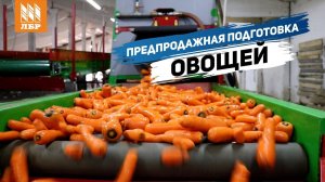 Как продавать овощи по максимальной цене? Подготовка овощей к продаже