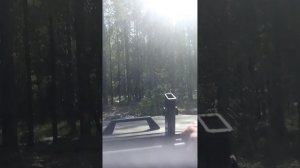 вездеход привод Ниссан Жук. по лесу?
