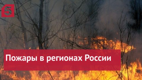 Лесные пожары начали бушевать в регионах России.mp4