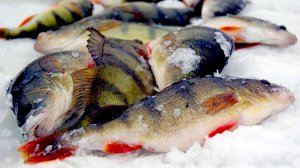 Как быстро и аккуратно почистить разную рыбу. Часть 5.