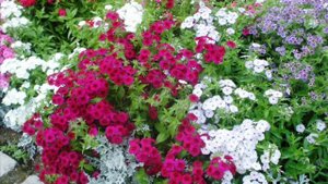 Маша в парке музее.