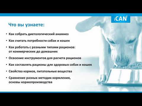Курс диетологии от Анны Линевой