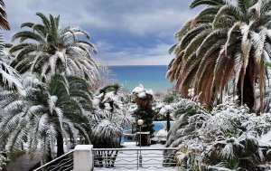 Арктика прорвалась на юг Европейской России: в Сочи прошел первый снег
#Russia #Sochi #snowfall