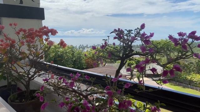 most beautiful blooming flower garden overlooking the bay смотреть онлайн