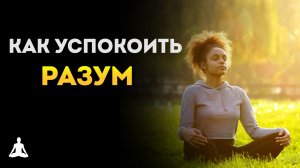 Как Успокоить Свой Разум – Буддийская Мудрость