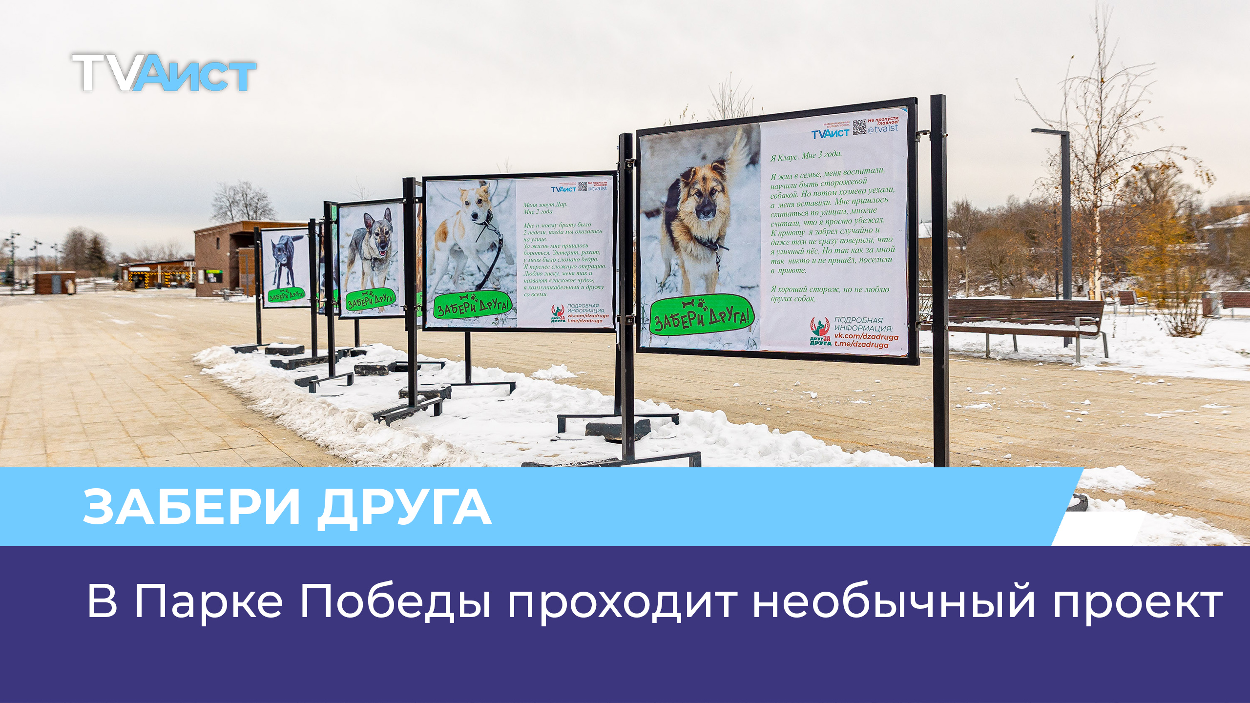 В Парке Победы проходит необычный проект «Забери друга!»