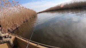 Рыбалка в Астраханской области зимой 2020 на спининг.