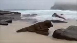 Дерек Принс "Они будут изгонять бесов!" (Аудиокнига!) Часть 1