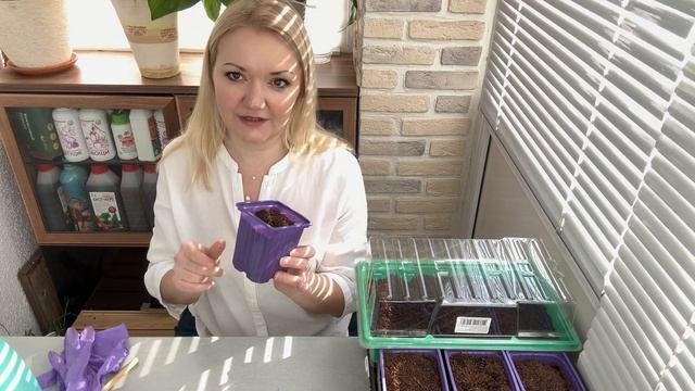 ПОСЕВ РАННИХ ТОМАТОВ ДЛЯ ТЕПЛИЦЫ. СЕКРЕТ УСПЕШНОГО УРОЖАЯ - ЭТО СЕМЕНА СЕМКО.