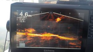 Гармин Лайвскоп  LVS32      Первые шаги по освоению