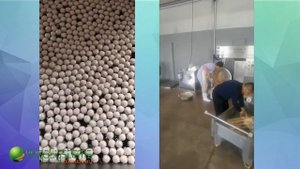 Двухскоростная машина для формования фрикаделек с преобразованием частоты Vega Meatball H600