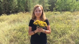 DIY. ЗВЕРОБОЙ. 5 ПРАВИЛ СБОРА, ХРАНЕНИЯ И ПРИГОТОВЛЕНИЯ НАСТОЯ ИЗ ЗВЕРОБОЯ ОТ ОРВИ И ДЛЯ ПОХУДЕНИЯ