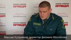 Максим Куприянов рассказал о том, почему нельзя рубить елки в лесу