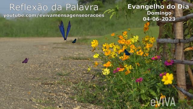 EVANGELHO DO DIA 04/06/2023 Narrado e Comentado - LITURGIA DIÁRIA - HOMILIA DIARIA HOJE eVIVA смотреть онлайн