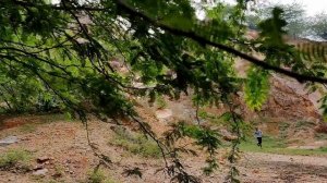 Siren Head Chase - Horror Short Film