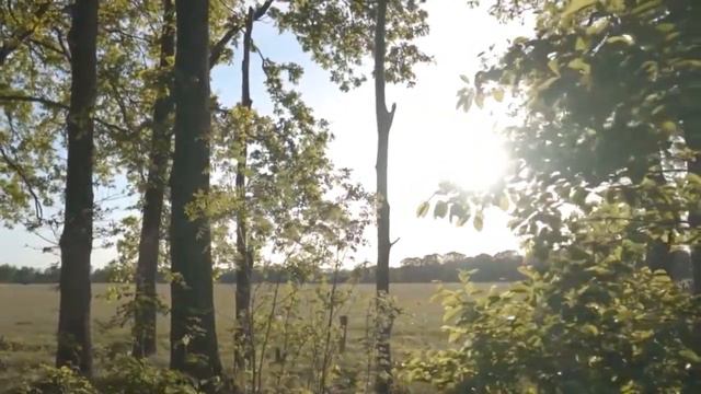 VOCALISE FOR VIOLIN & ORCHESTRA - ВОКАЛИЗ ДЛЯ СКРИПКИ С ОРКЕСТРОМ смотреть онлайн