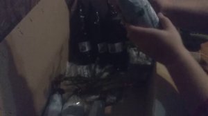 Посылка из агро-маркета. Осенняя распродажа саженцев.