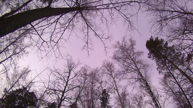 сука зима смотреть онлайн