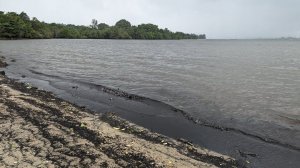 Почему в Сингапуре нельзя купаться в море? Показываем насколько чистая вода на тропическом острове!