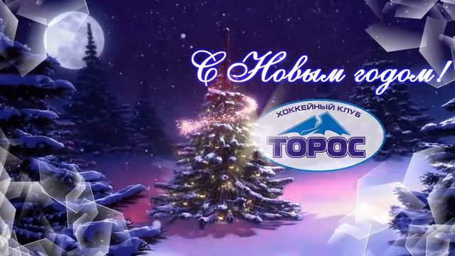 Новогоднее поздравление от Игоря Мясищева смотреть онлайн