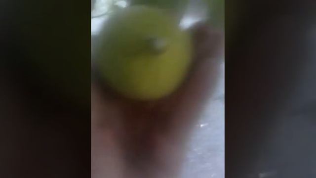 Мини Влог ИНЖИР!!! смотреть онлайн